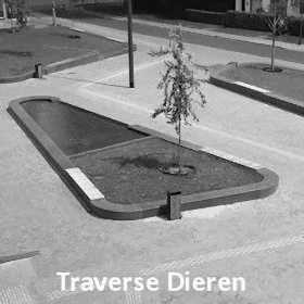 Traverse Dieren