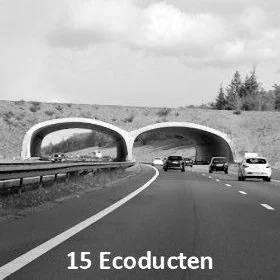 15 Ecoducten in Nederland