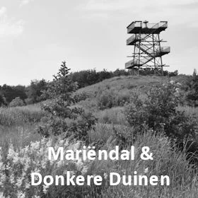 Gebiedsvisie Mariëndal & Donkere Duinen