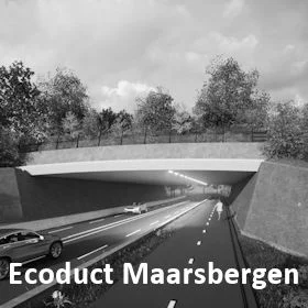 Ecoduct N226 Maarsbergen